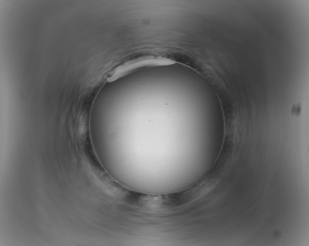 X0000113560131200910021604