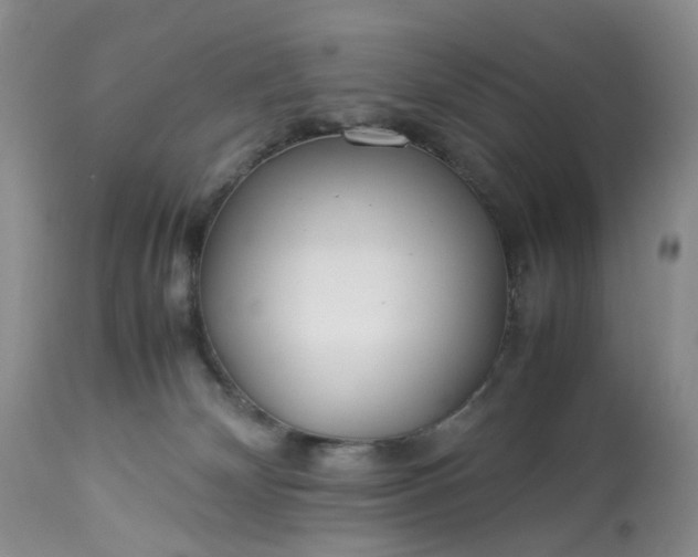 X0000113560132200910021604