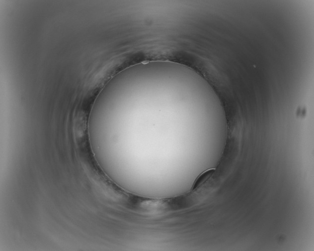 X0000113560133200910021604