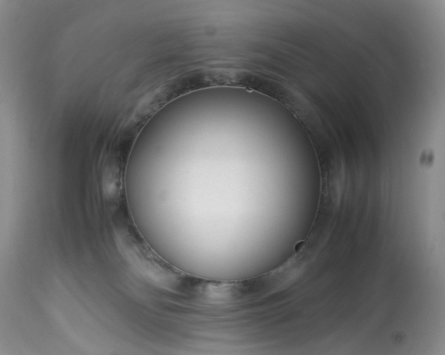 X0000113560134200910021604