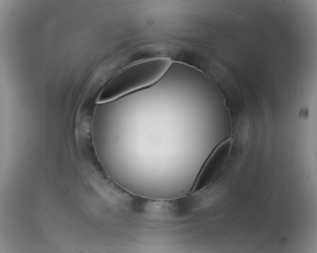 X0000113560137200910021604