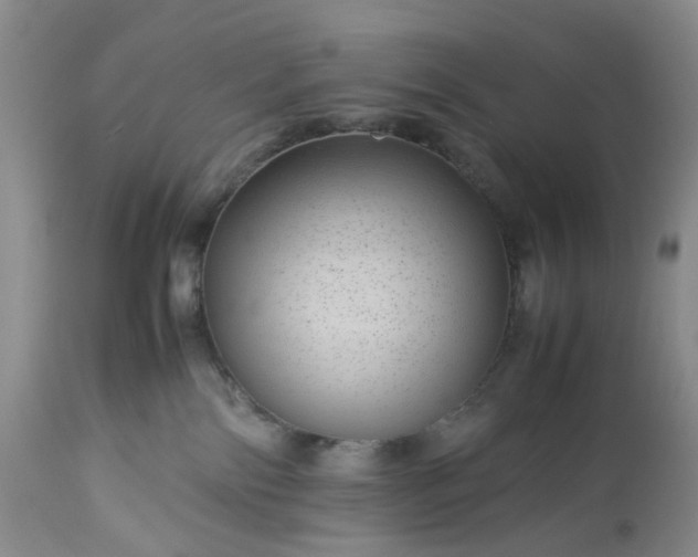 X0000113560138200910021604