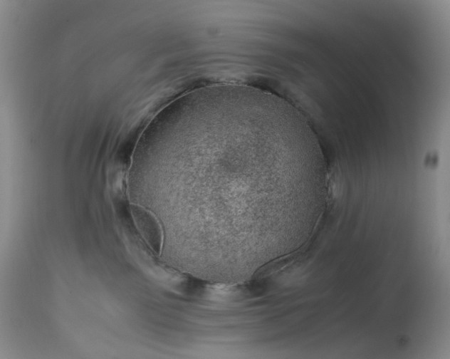 X0000113560141200910021604