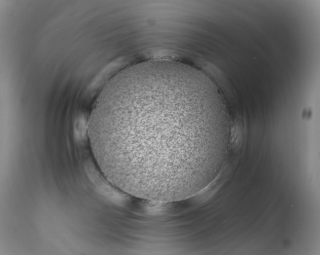 X0000113560142200910021604