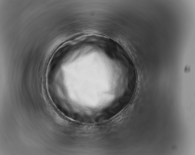 X0000113560145200910021603