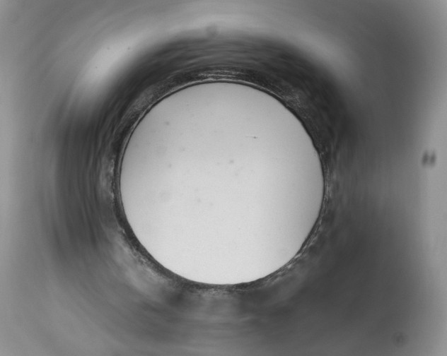X0000113560146200910021603