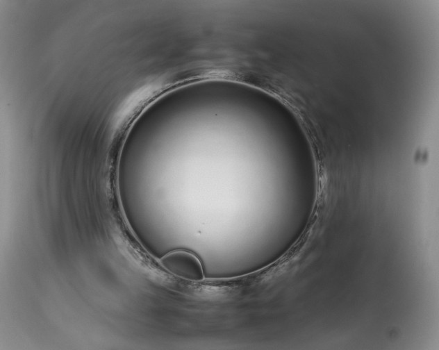 X0000113560149200910021603