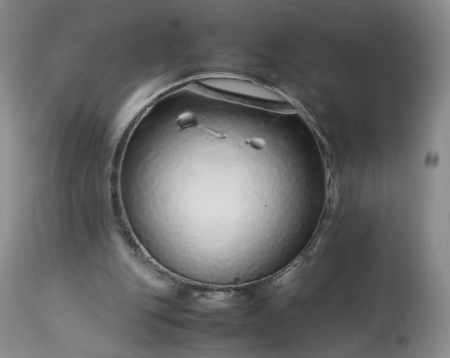 X0000113560151200910021603