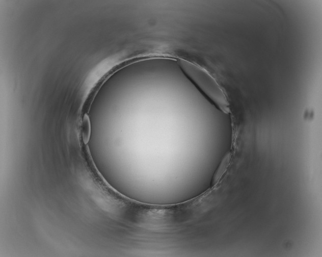 X0000113560152200910021603