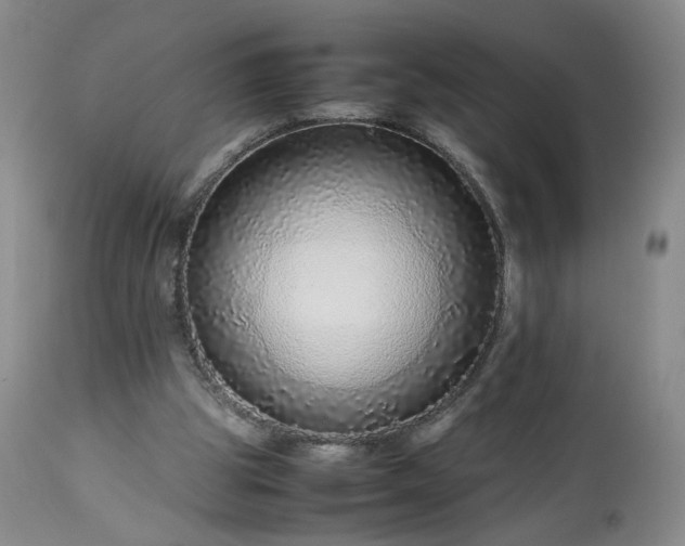 X0000113560153200910021603