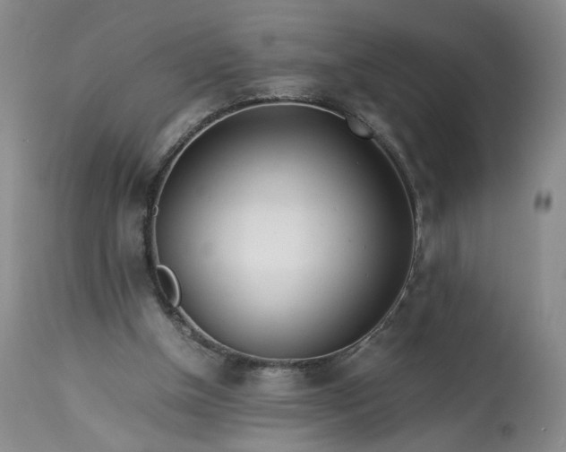 X0000113560154200910021603