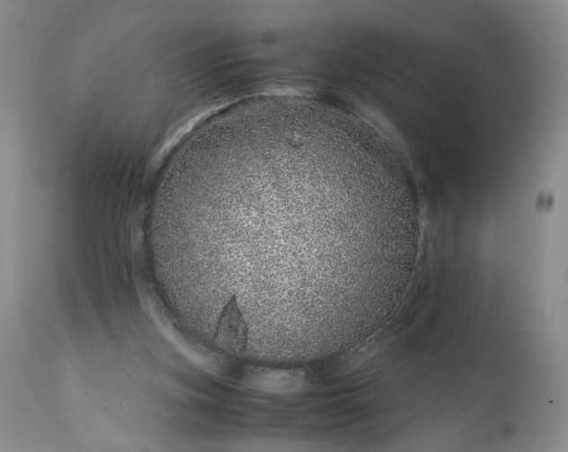 X0000113560155200910021603