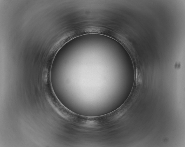 X0000113560157200910021603