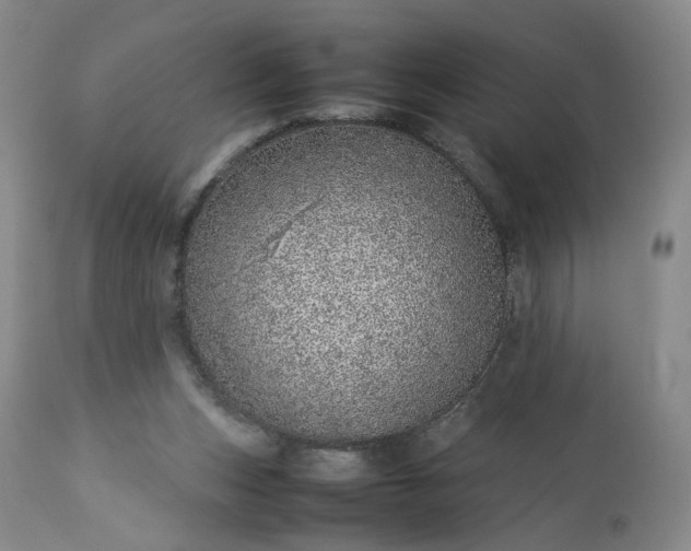X0000113560159200910021603