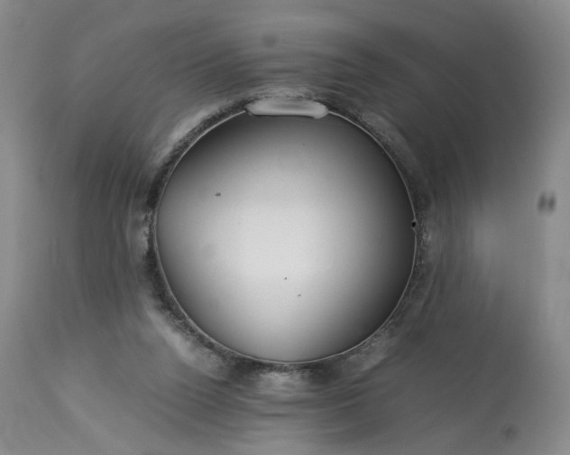 X0000113560160200910021603
