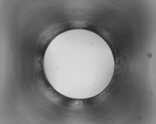 X0000113560162200910021603