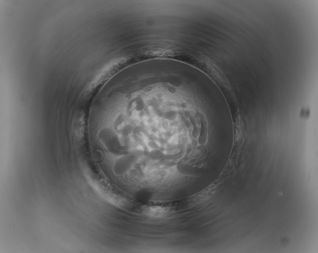 X0000113560163200910021603