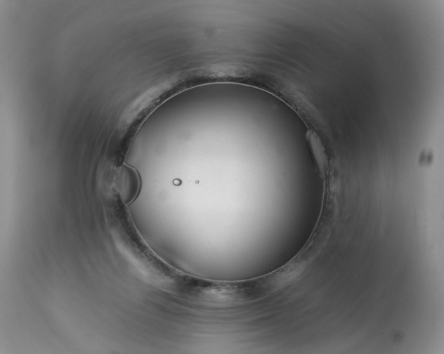 X0000113560164200910021603
