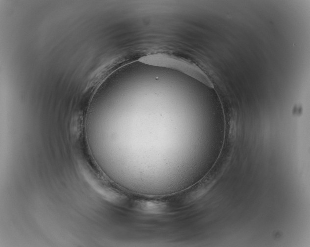 X0000113560165200910021603