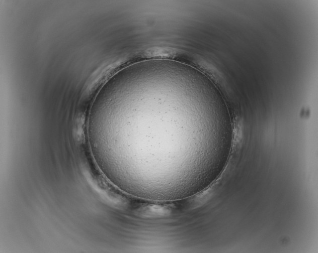 X0000113560166200910021603