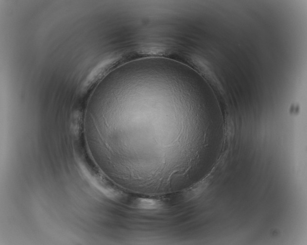 X0000113560167200910021603