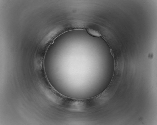 X0000113560168200910021603