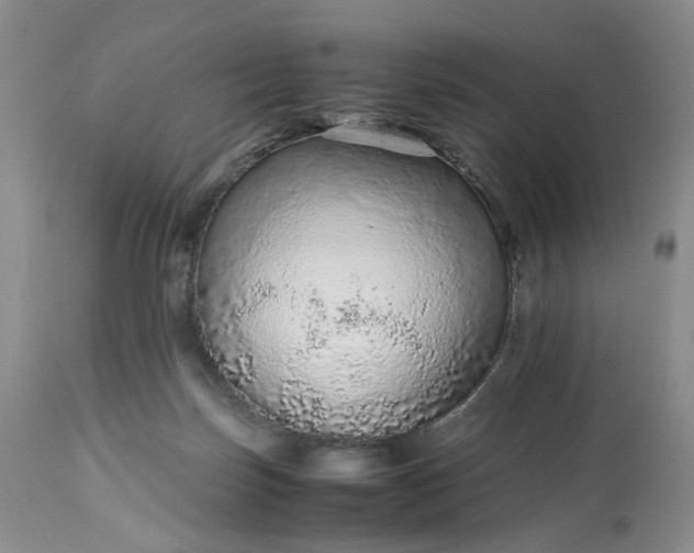 X0000113560171200910021603