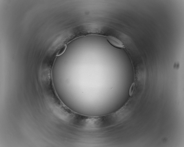 X0000113560172200910021603