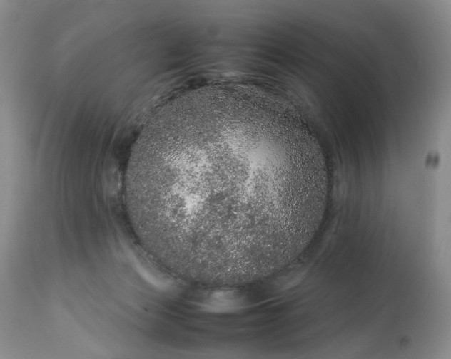 X0000113560173200910021603