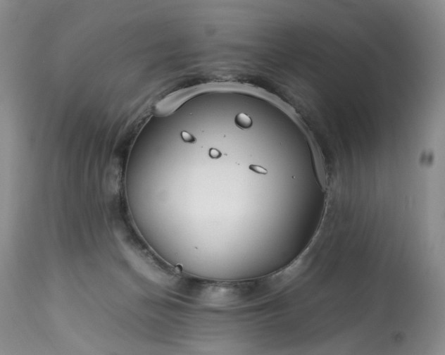 X0000113560174200910021603