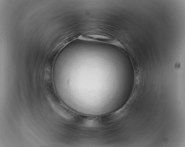 X0000113560175200910021603