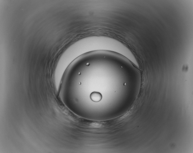 X0000113560176200910021603