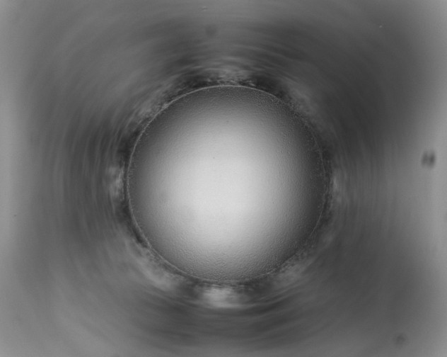 X0000113560177200910021603