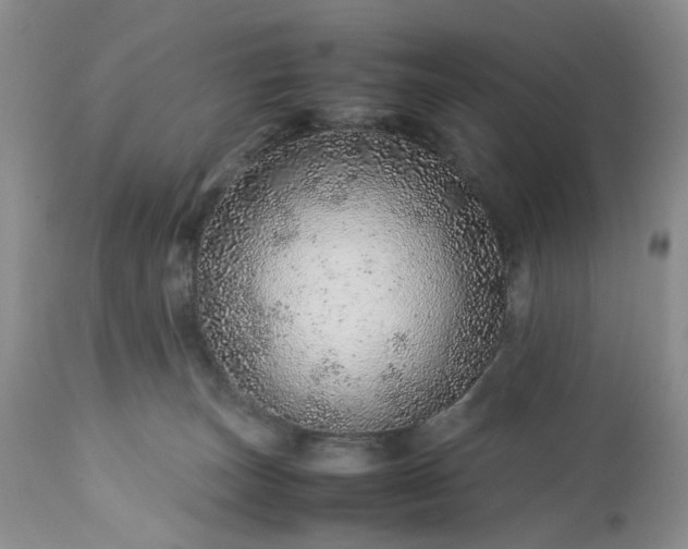 X0000113560179200910021603