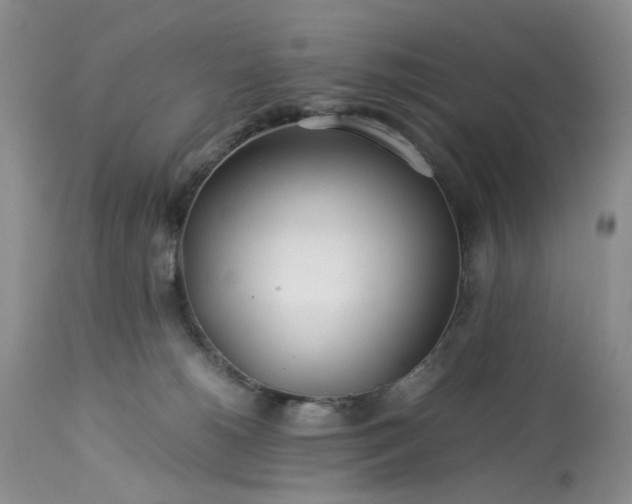 X0000113560180200910021603