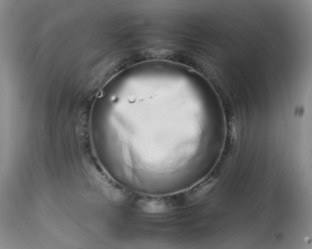 X0000113560181200910021603