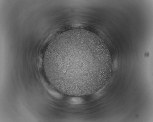 X0000113560183200910021603