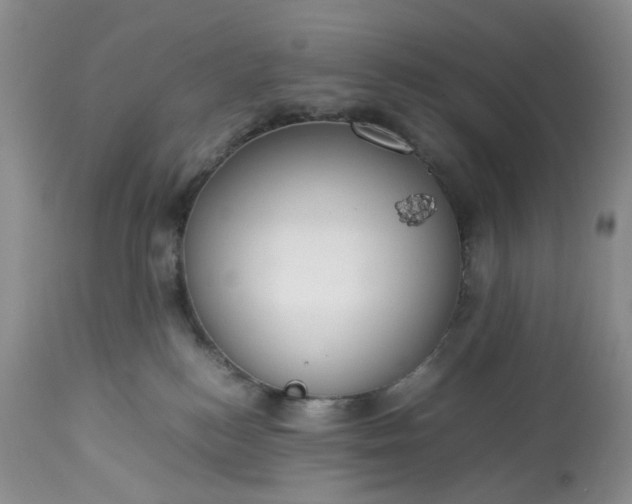 X0000113560184200910021603