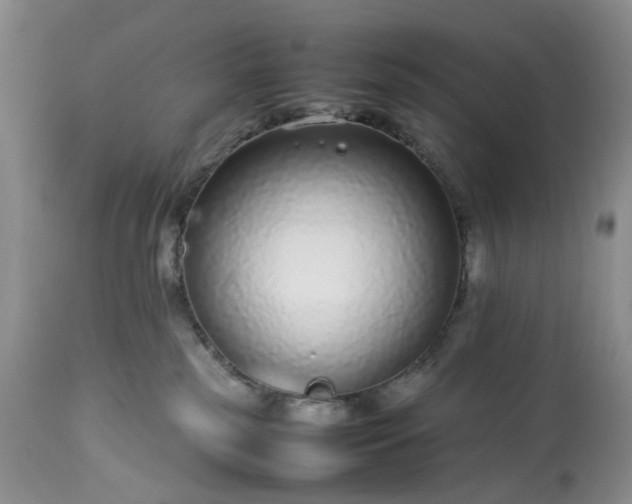 X0000113560185200910021603