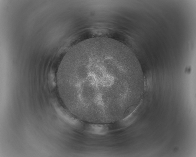 X0000113560187200910021603