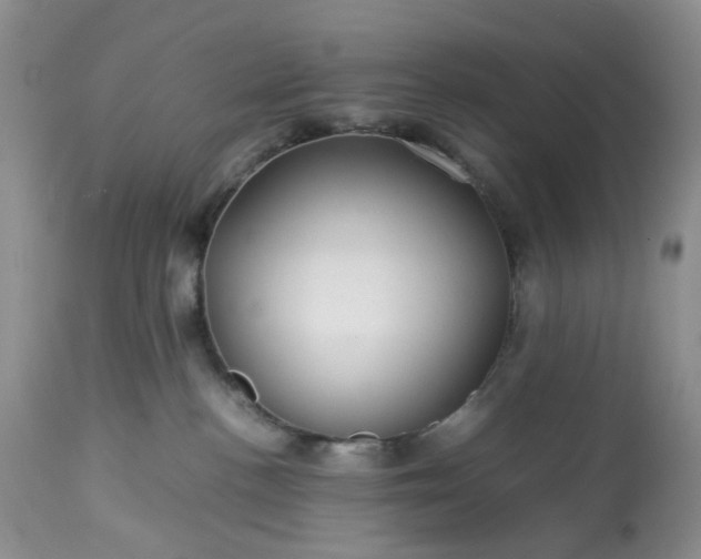 X0000113560188200910021603