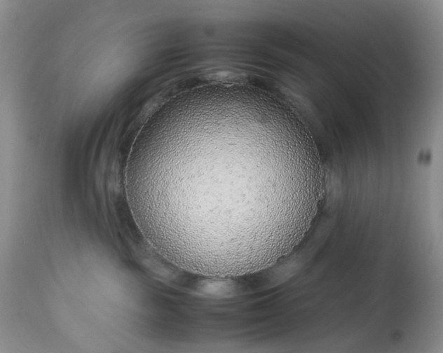 X0000113560189200910021603
