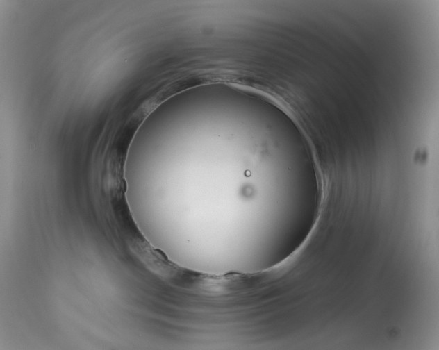 X0000113560190200910021603