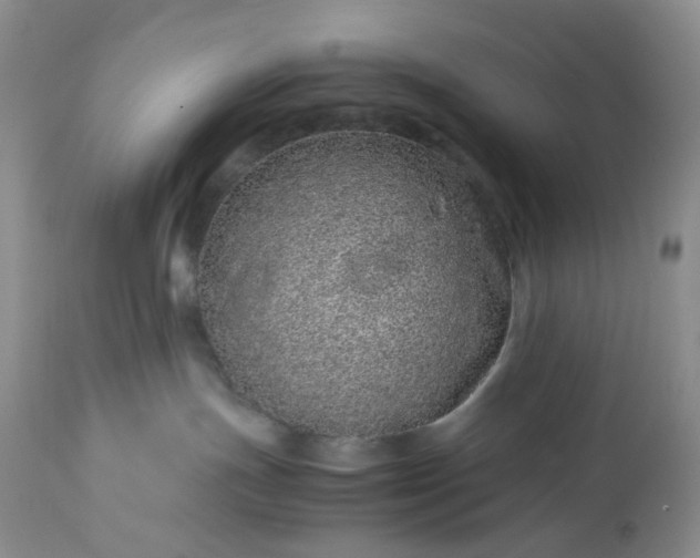X0000113560191200910021603