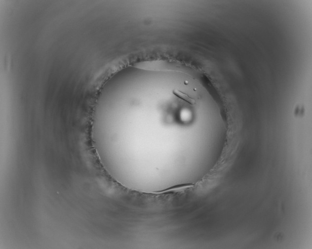 X0000113560192200910021603