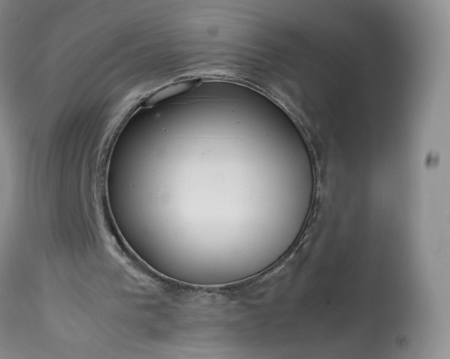 X0000113560193200910021603