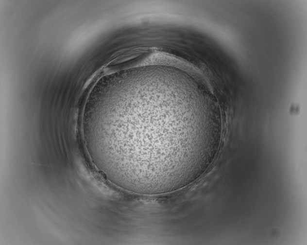 X0000113560194200910021603
