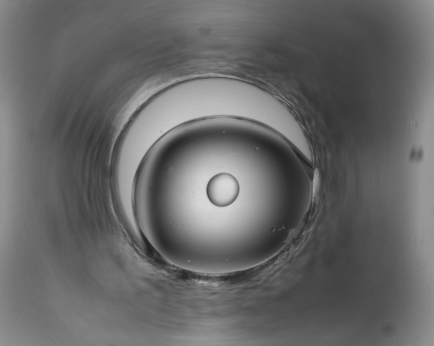 X0000113560195200910021603