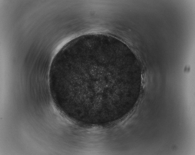 X0000113560196200910021603