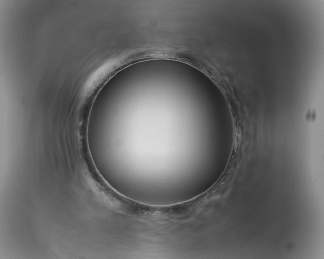 X0000113560197200910021603